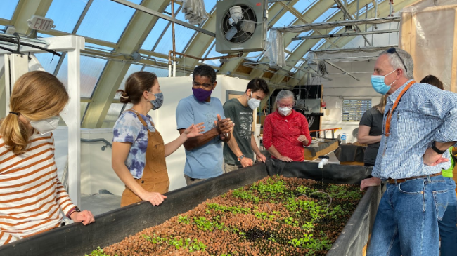 A group of teachers wearing masks stand around a raised garden bed that has small sprouts of vegetation.