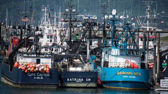 Working waterfronts such as this one in Homer, Alaska, are home to commercial fishing vessels. 