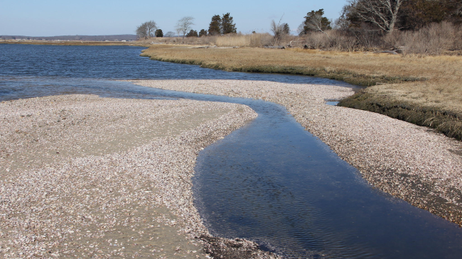 The Connecticut National Estuarine Research Reserve