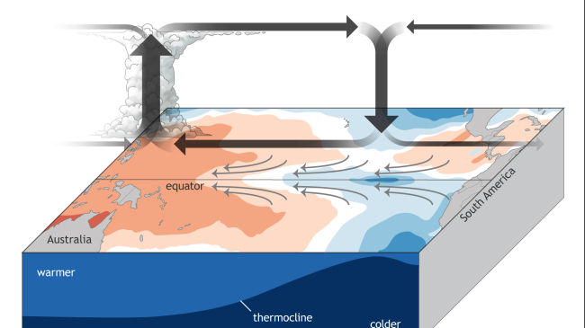 La Niña feedbacks between the ocean and atmosphere.  