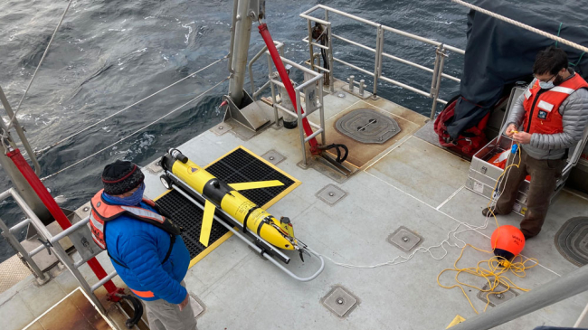 Researchers from Woods Hole Oceanographic Institution and crew from the research vessel (R/V) Auk deploy a glider equipped with a hydrophone in Stellwagen Bank National Marine Sanctuary in December 2020.