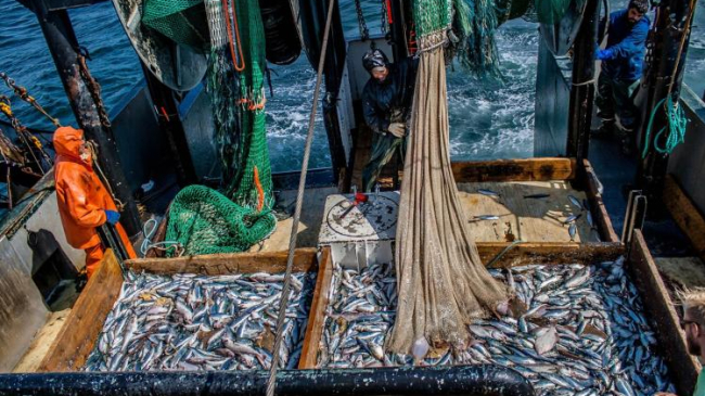 Scientists conduct a trawl survey off the coast of New England.