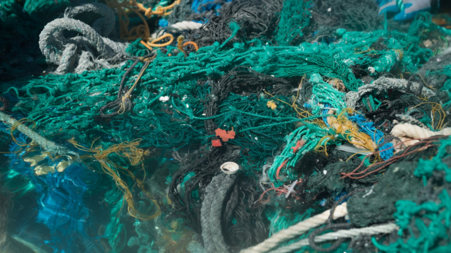 A close-up of a mass of derelict nets