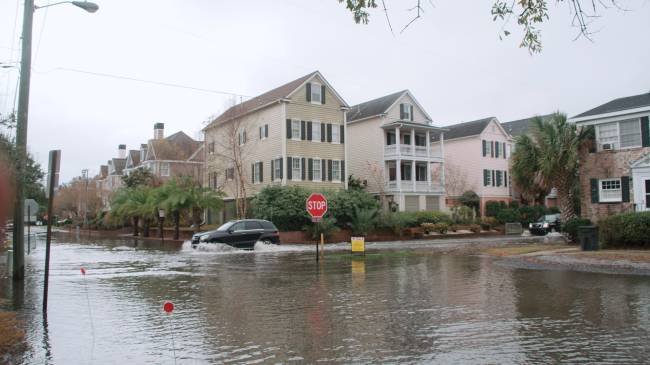 Photo of water in the streets during a high tide event on a storm-free day in Charleston, SC