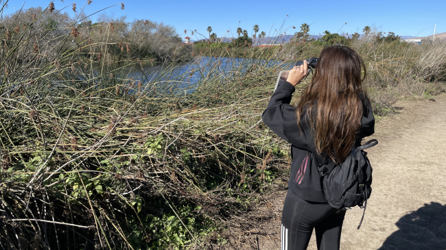 A student looks through binoculars at a body of water with greenery surrounding the area.