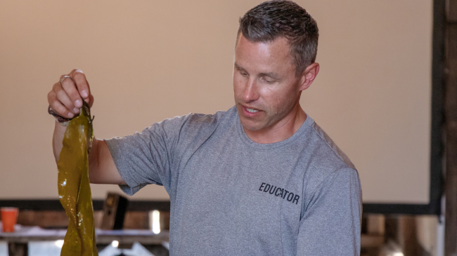 A teacher wearing a gray shirt that says “educator” lifts a large piece of brown seaweed from a tank.