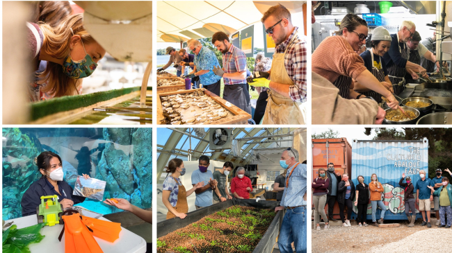 A collage of photos each showing an activity from the eeBLUE aquaculture literacy mini-grants. Activities shown range from observing and tending to oysters to cooking seafood and talking with teachers