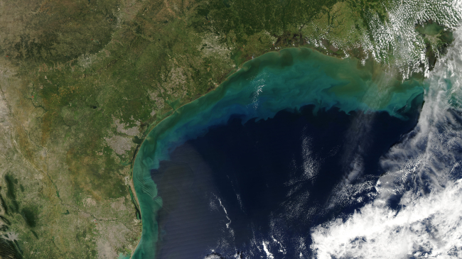  Photo showing brightly-colored waters in the Gulf of Mexico indicate the presence of sediment, detritus, and blooms of marine plants called phytoplankton.