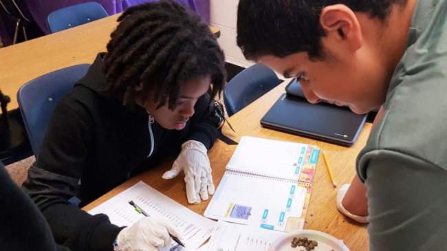 Hampton City Schools (Virginia) students track information about oysters they are growing in a project supported by Chesapeake B-WET.