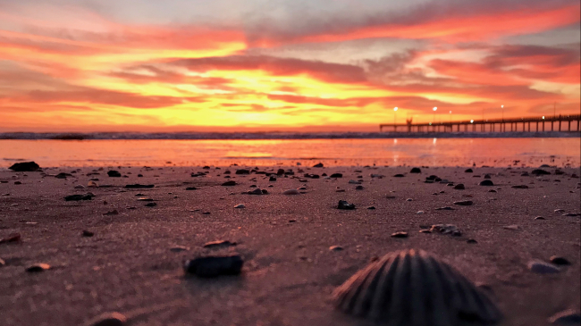 A view of the sand and shells looking out to the water at sunrise. A raised bridge is in the distance.