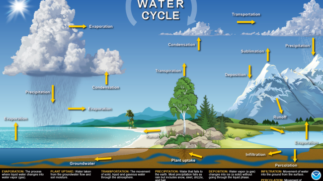 The Water Cycle poster.