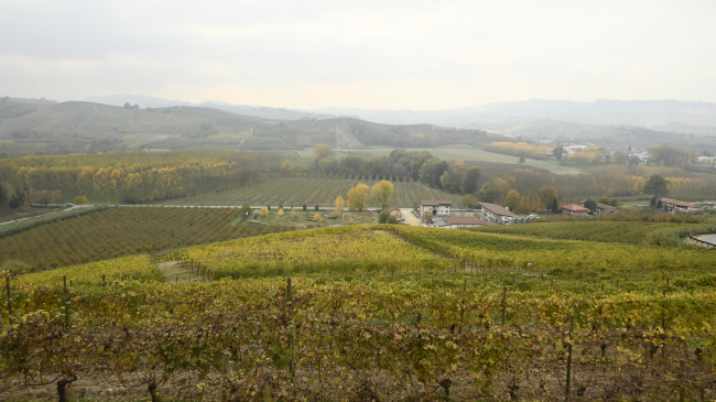 A view of Alba, Italy, from November 13, 2022. 