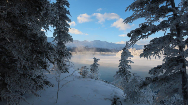 Photo showing Snow and ice covering much of the woods and river in Tanacross, Alaska, on January 14, 2022. Courtesy of KellysIntok/ NOAA NWS 