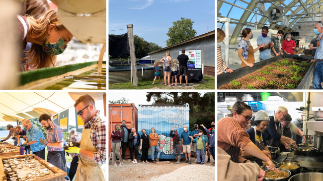 A collage of photos each showing an activity from the eeBLUE aquaculture literacy mini-grants. Activities shown range from observing and tending to oysters to cooking seafood and talking with teachers.