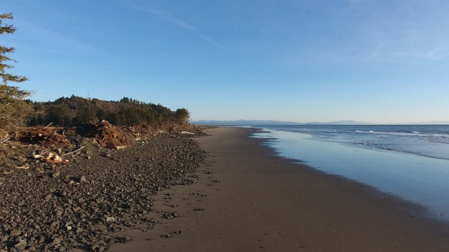 Photo showing drone view of North Cove, Washington, monitoring the success of a shoreline stabilization project.