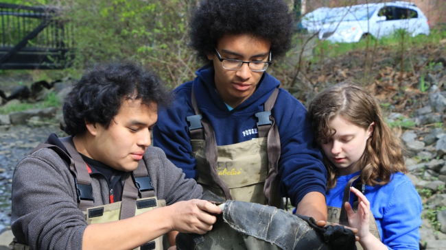 Marist College and Poughkeepsie High School students check a net for migrating juvenile American eels on the Fall Kill Creek on New York's Hudson River estuary.
