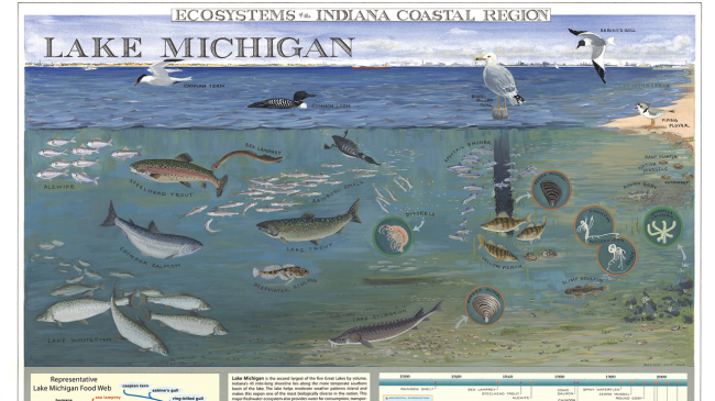 Image of sand dunes, and related plants and animal species, with the words "The Dunes" and "Ecosystems of the Indiana Coastal Region"