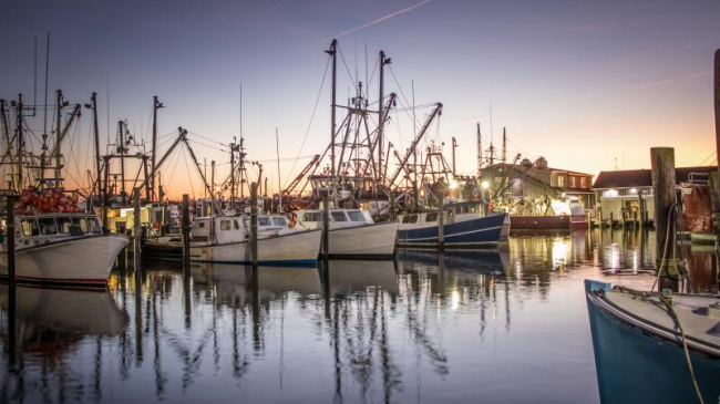 East Coast fishing boats.
