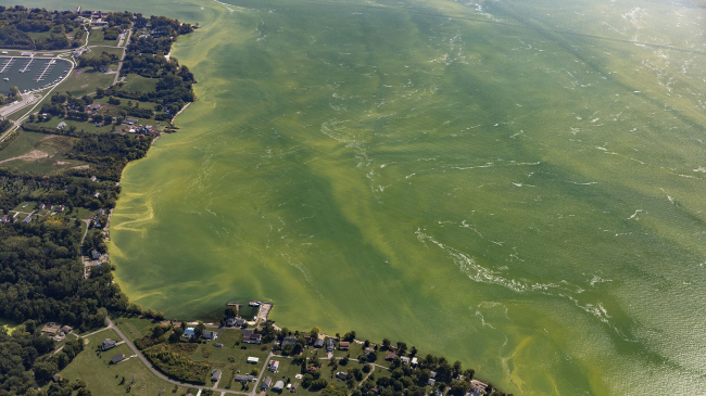 Algal bloom in the western basin of Lake Erie, as seen by aircraft during a flyover on September 2017.