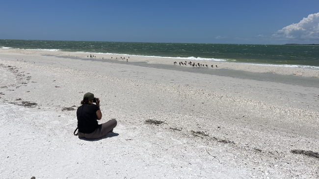 Ellie faces away from the camera, sitting cross-legged on an unpopulated crushed-shell beach. She concentrates on photographing black birds that gather on the beach closer to the breaking waves.