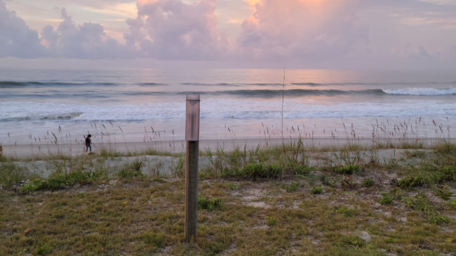 A plastic cylinder with an opening at the top to collect precipitation is mounted upright on a wooden post that stands alone in the sand dunes in front of a beach with crashing waves.