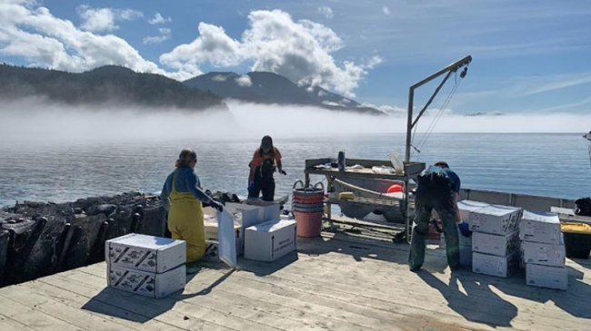 Monitoring work at Salty Lady Seafood farm. Credit: NOAA Fisheries.