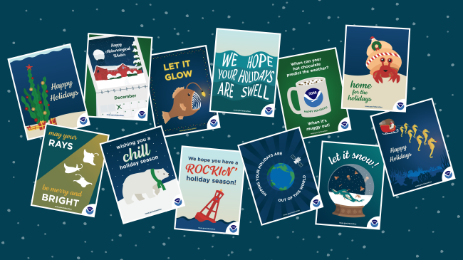 An array of NOAA-themed holiday cards.