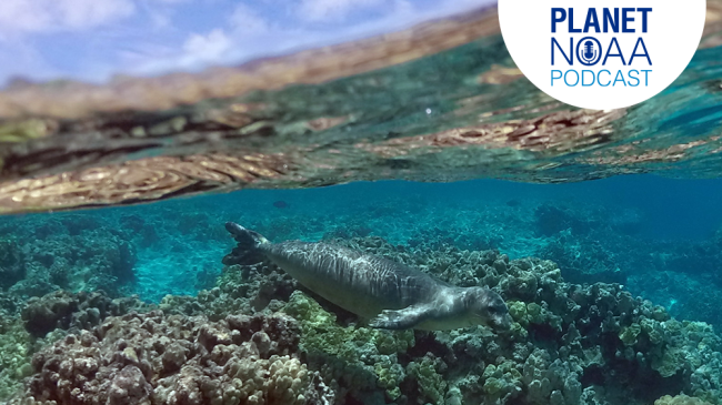 Planet NOAA Episode 3 thumbnail