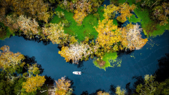 View from above of a dark, winding river, with lush greenery on either side. This is a boat in the middle of the frame.