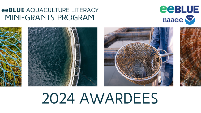 A series of aquaculture-centered images featuring a net with a fish, algae, and a basin of water. Text: Aquaculture Literacy Mini-Grants Program announces the 2024 awardees.