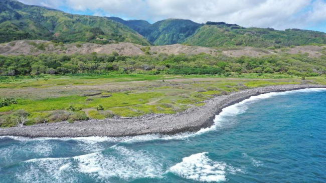 Waiheʻe Coastal Dunes and Wetlands Refuge.