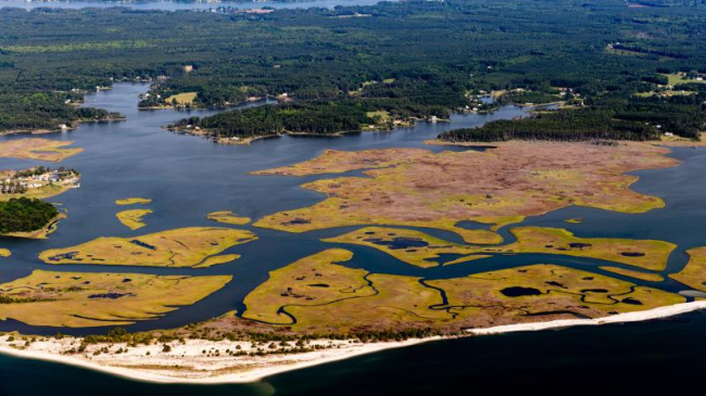 Wetlands in Middle Peninsula, Virginia.