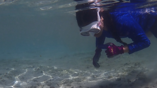 An underwater photo of Talofa. She is floating at the surface of water looking through her snorkeling mask at the sea floor, which is close enough for her to reach out and touch. She appears to be taking a photo or measurement of the sea floor.