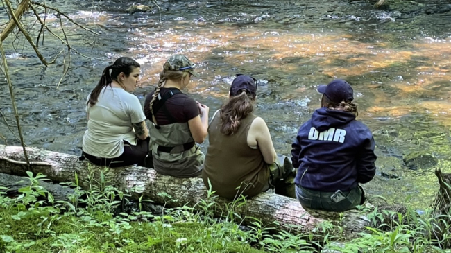 Four people dressed for fieldwork sit on a log next to a shallow, rapid stream with their backs to the camera. They appear to be in conversation. 
