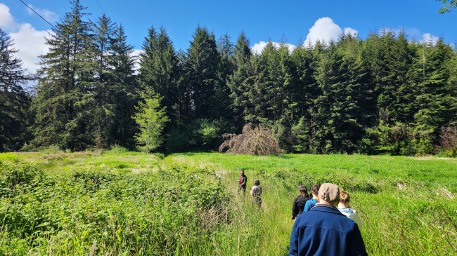 A group of people walk a trail through a floodplain of tall grass with a conifer forest in the distance.