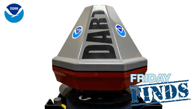 A Deep-ocean Assessment and Reporting of Tsunamis (DART®) buoy displayed atop a metal case, which serves as an anchor. The case has a special rope coiled inside that unspools automatically when deployed. The case also has the actual pressure detector (or tsunameter) and the acoustic modem to send the data to the buoy.