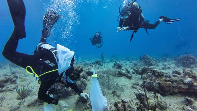 Photo of coral restoration divers in Butler Bay on St. Croix, U.S. Virgin Islands (May 2023). NOAA funding through the Bipartisan Infrastructure Law is supporting a ridge-to-reef restoration effort on the west end of St. Croix. (Credit: Ceiba Strategies)