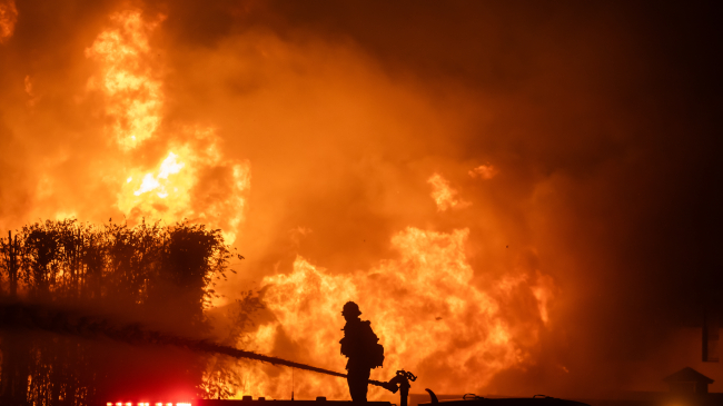 January 8, 2025: A firefighter stands on top of a fire truck to battle the Palisades Fire while it burns homes on the Pacific Coast Highway in Los Angeles, California. Dry conditions and near-hurricane-force Santa Ana winds contributed to the rapid spread of wildfires in the area.