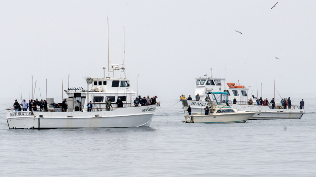 Several fishing boats in a calm ocean with passengers holding fishing rods