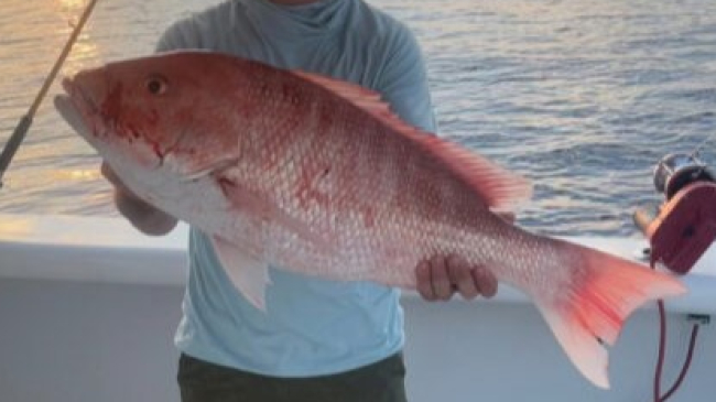 A man stands on a boat at sunset while holding a large red snapper.