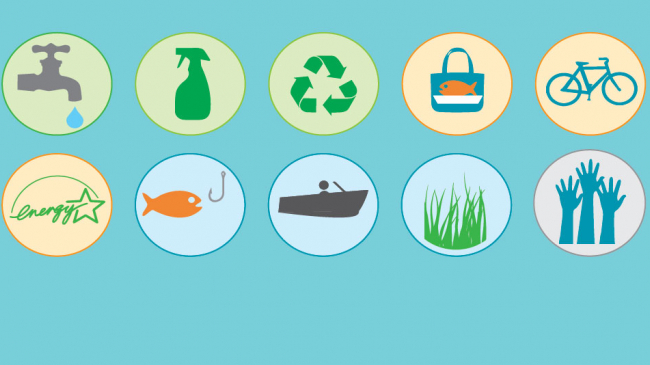 Here are some simple things you can do to help our ocean.