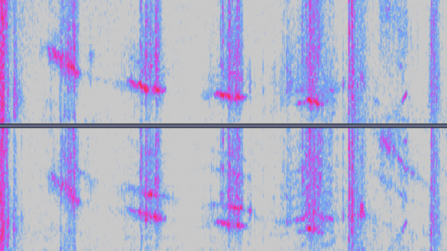 GOES sonification of solar activity. 