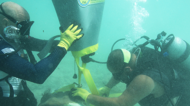 Force Blue divers underwater lifting coral heads.