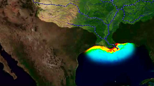 Hypoxic zones, often called 'dead zones,' are areas in the ocean of such low oxygen concentration that animal life suffocates and dies.