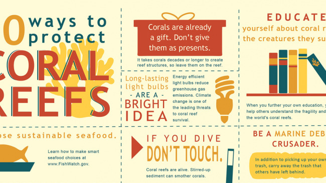 Coral reefs play a vital role in sustaining the health of our oceans and our economy. NOAA is working to increase understanding of the causes of reef decline.