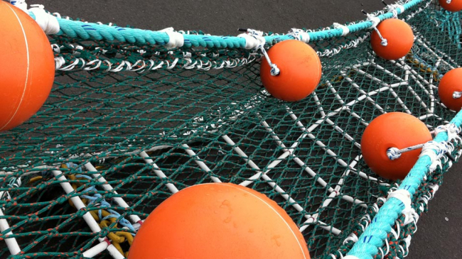 West coast fishing nets