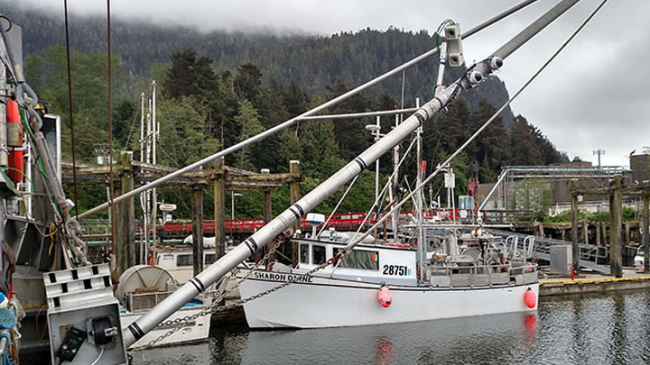 The electronic monitoring system on this fishing vessel includes cameras attached to the vessel’s stabilizers. The cameras collect high resolution video of everything that comes up on the longline.
