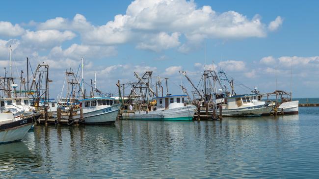 Fishing boats in Fulton Harbor, Texas.