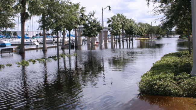 Flooded coasts, such as this one in Florida, are becoming increasingly common.