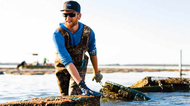 Joe Harned hauls in a line of floating oyster cages at Morris Family Shellfish Farms in Sea Level, North Carolina, where he’s sampling oysters grown using various gear tested by  the Sea Grant National Aquaculture Initiative.
